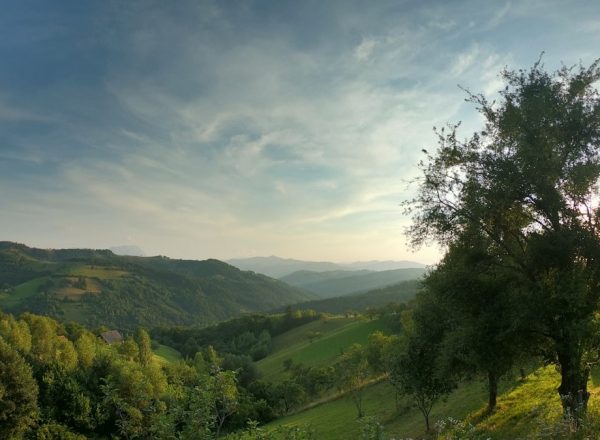 Picturesque landscape