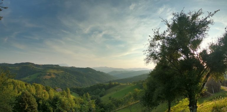 Picturesque landscape